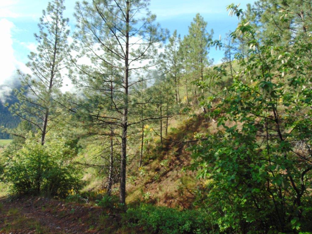 27235 Lazy Springs Road Property Photo 42