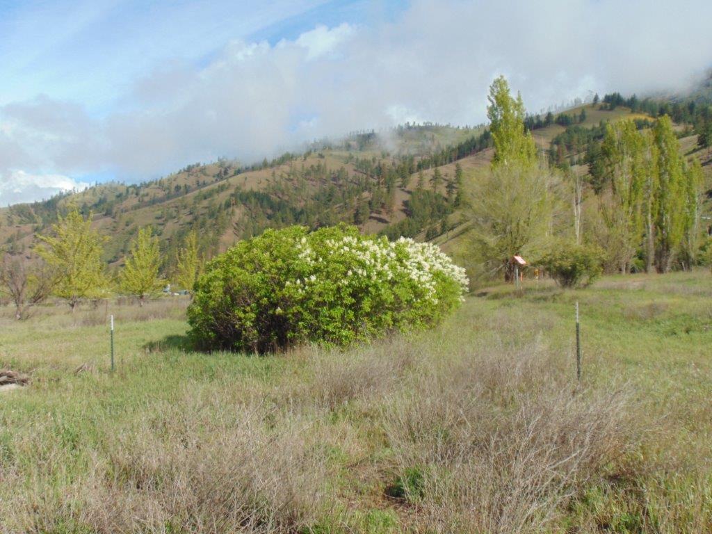 27235 Lazy Springs Road Property Photo 43
