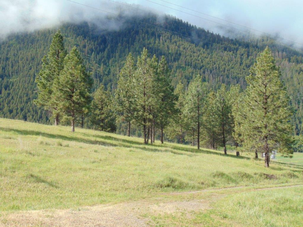27235 Lazy Springs Road Property Photo 44