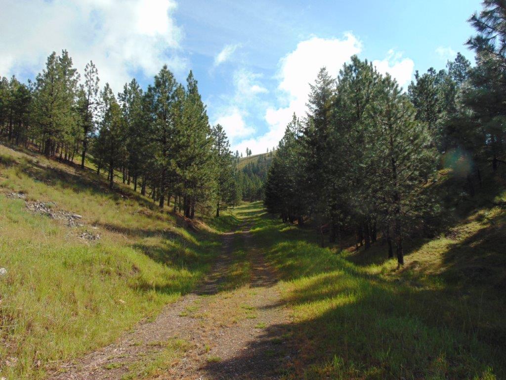 27235 Lazy Springs Road Property Photo 46