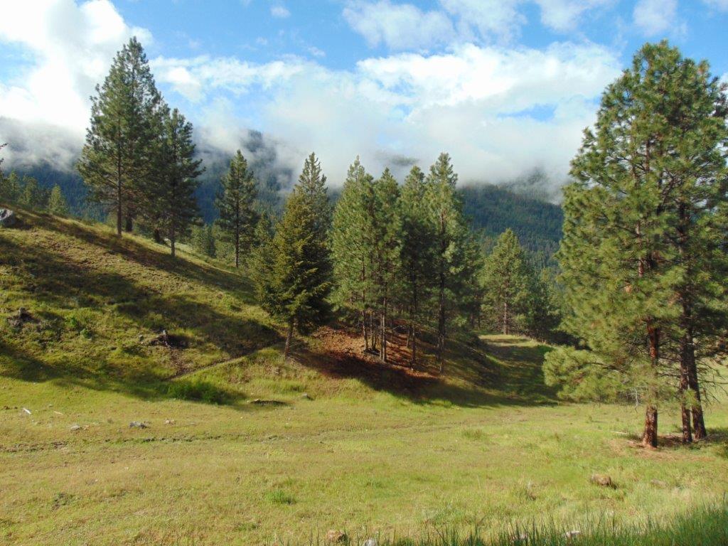 27235 Lazy Springs Road Property Photo 47