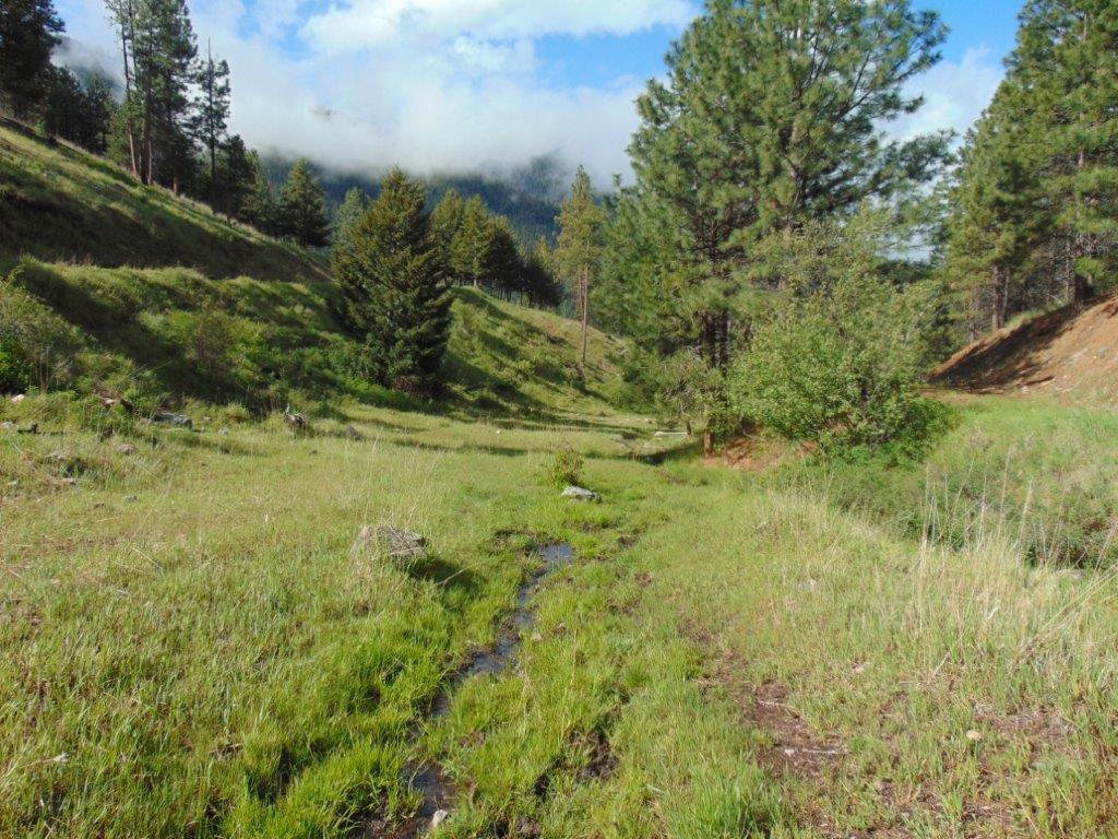 27235 Lazy Springs Road Property Photo 49