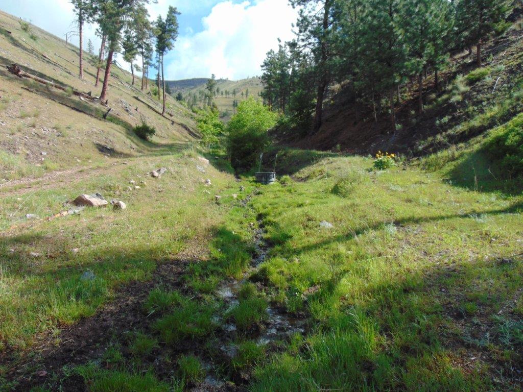 27235 Lazy Springs Road Property Photo 50