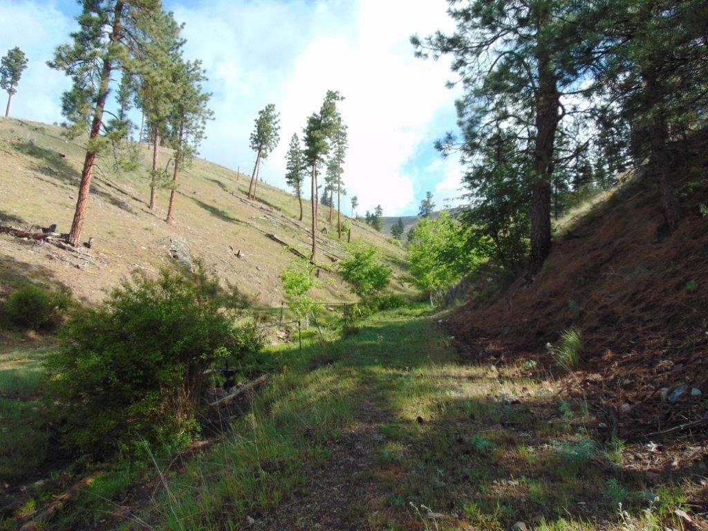 27235 Lazy Springs Road Property Photo 51