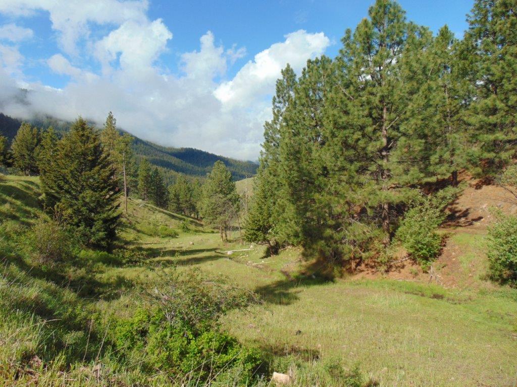 27235 Lazy Springs Road Property Photo 54