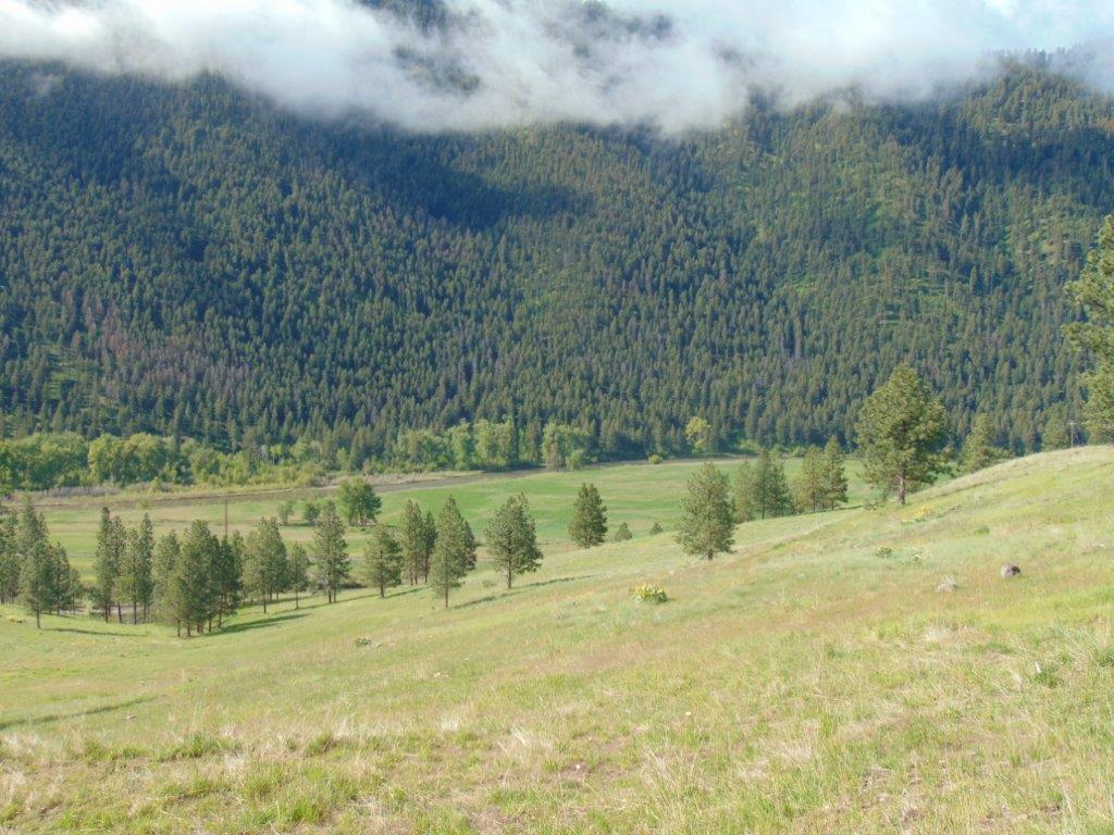 27235 Lazy Springs Road Property Photo 58