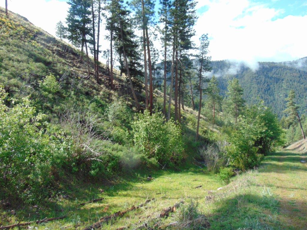 27235 Lazy Springs Road Property Photo 60