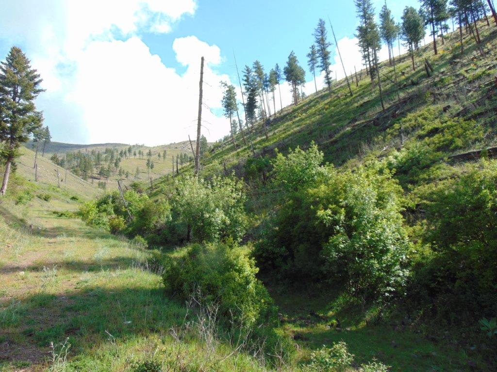 27235 Lazy Springs Road Property Photo 61