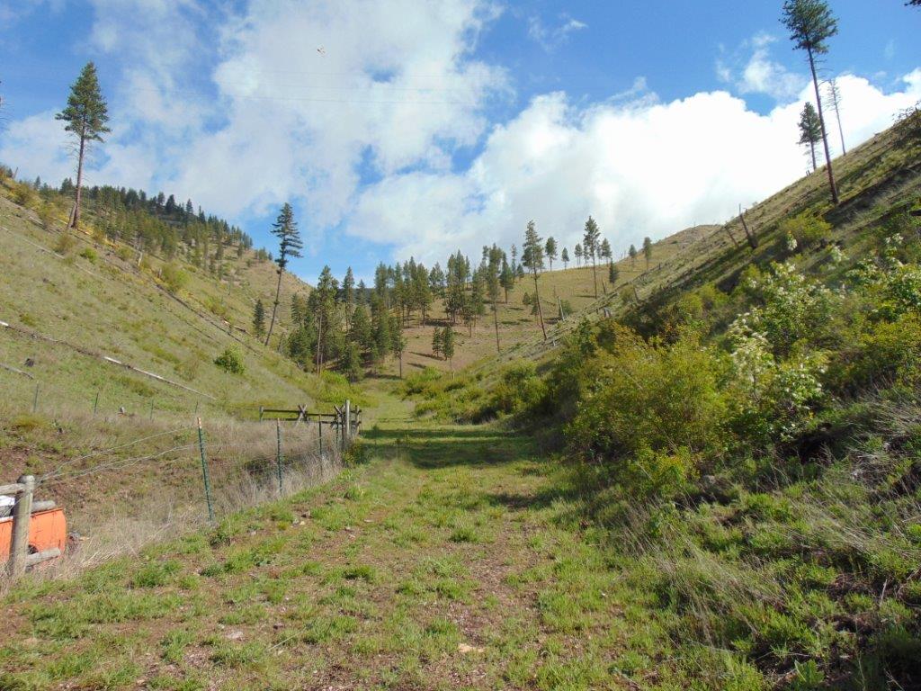 27235 Lazy Springs Road Property Photo 67