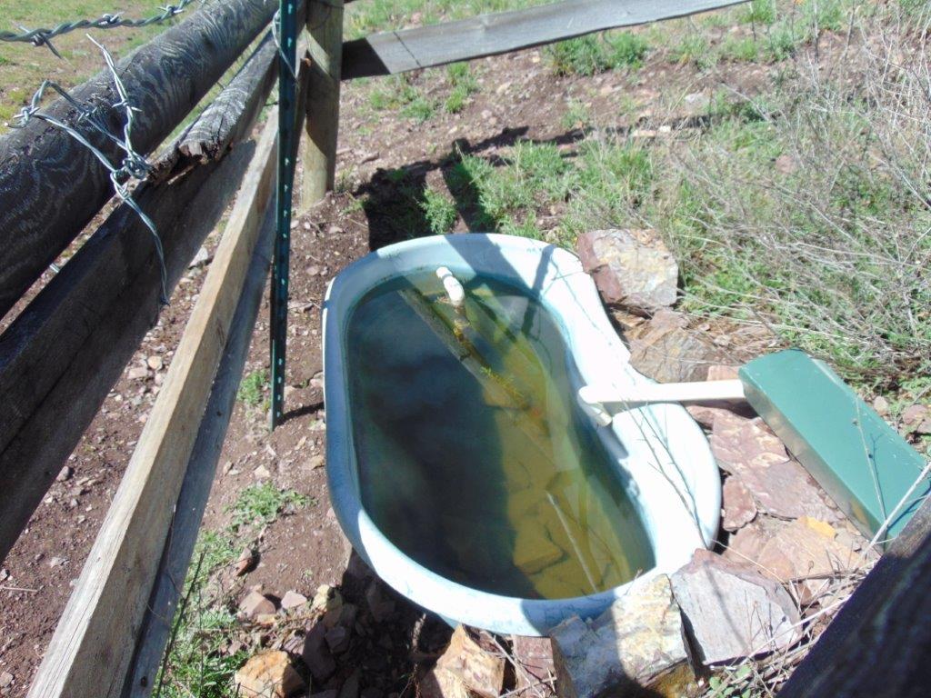27235 Lazy Springs Road Property Photo 72