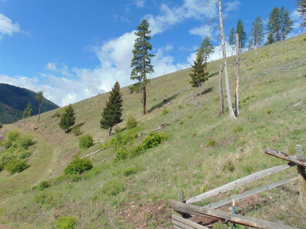 27235 Lazy Springs Road Property Photo 73