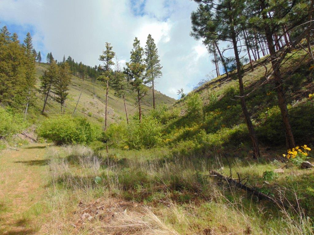 27235 Lazy Springs Road Property Photo 75