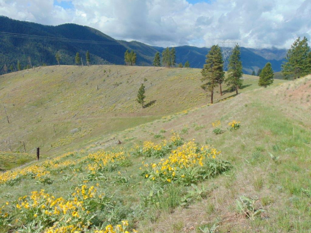 27235 Lazy Springs Road Property Photo 89