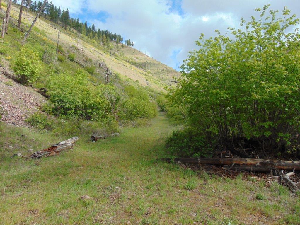 27235 Lazy Springs Road Property Photo 92