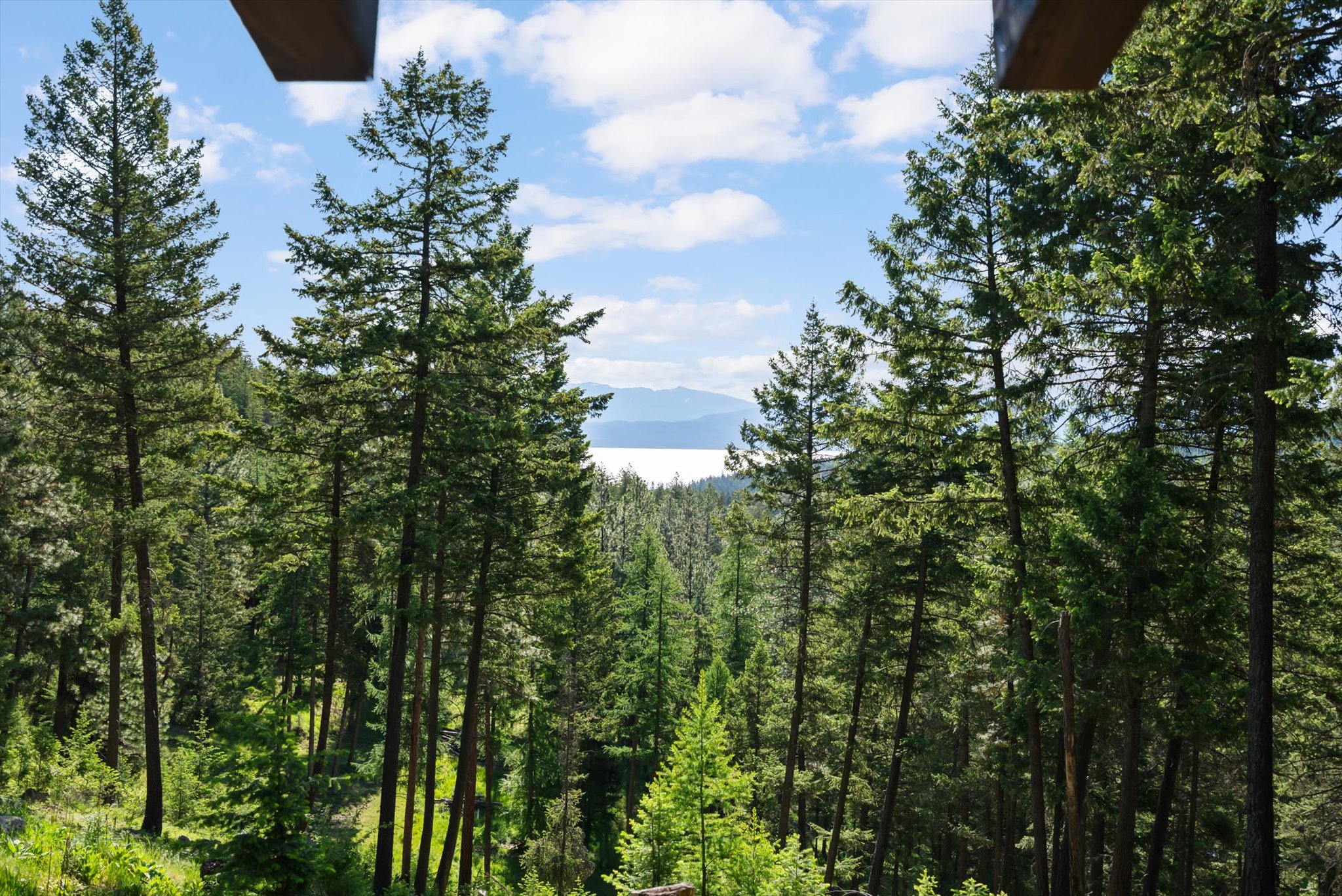 205 Muley Road Property Photo 4