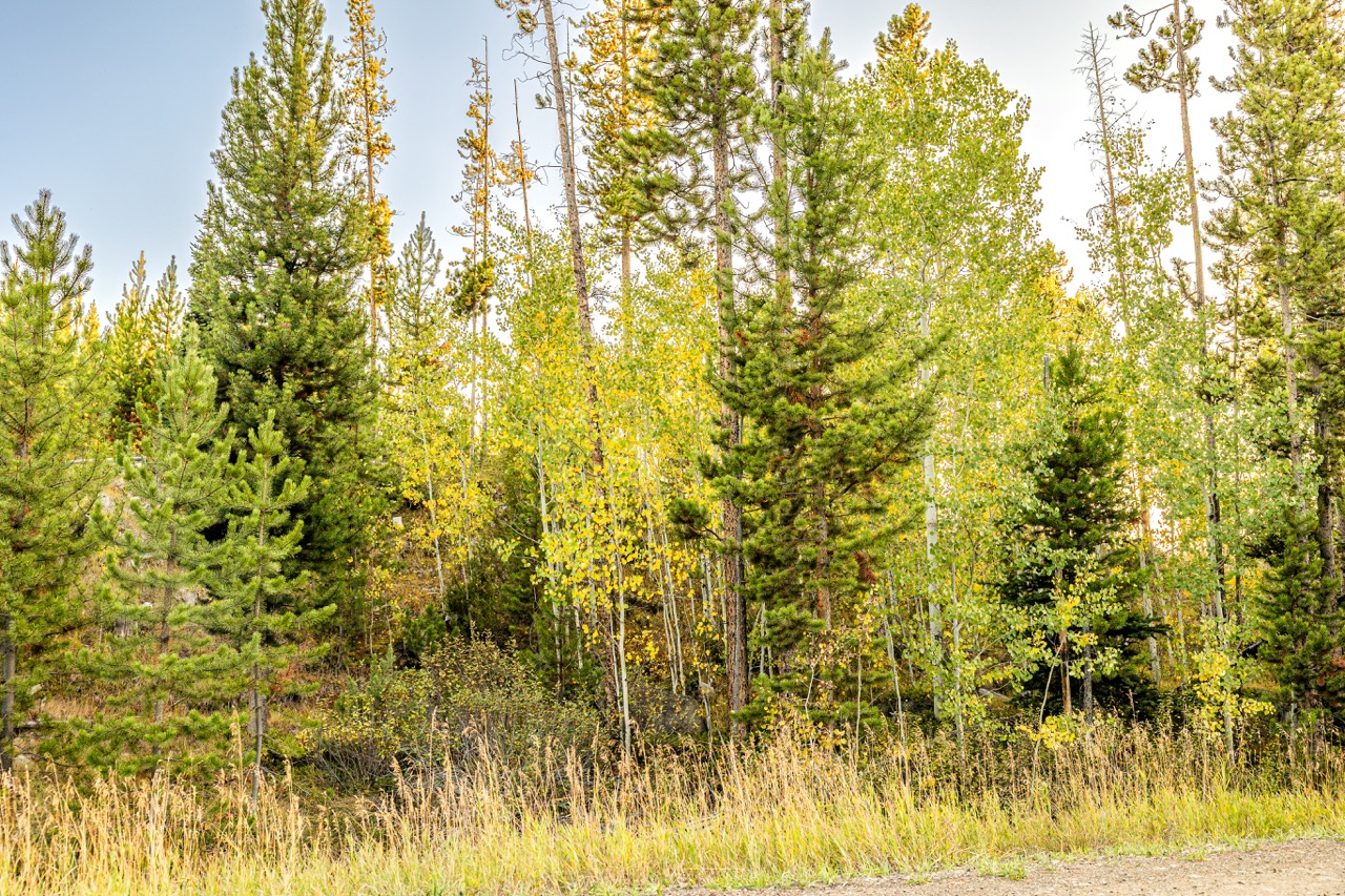 Lot 1 Tbd Harris Rd Property Photo 8