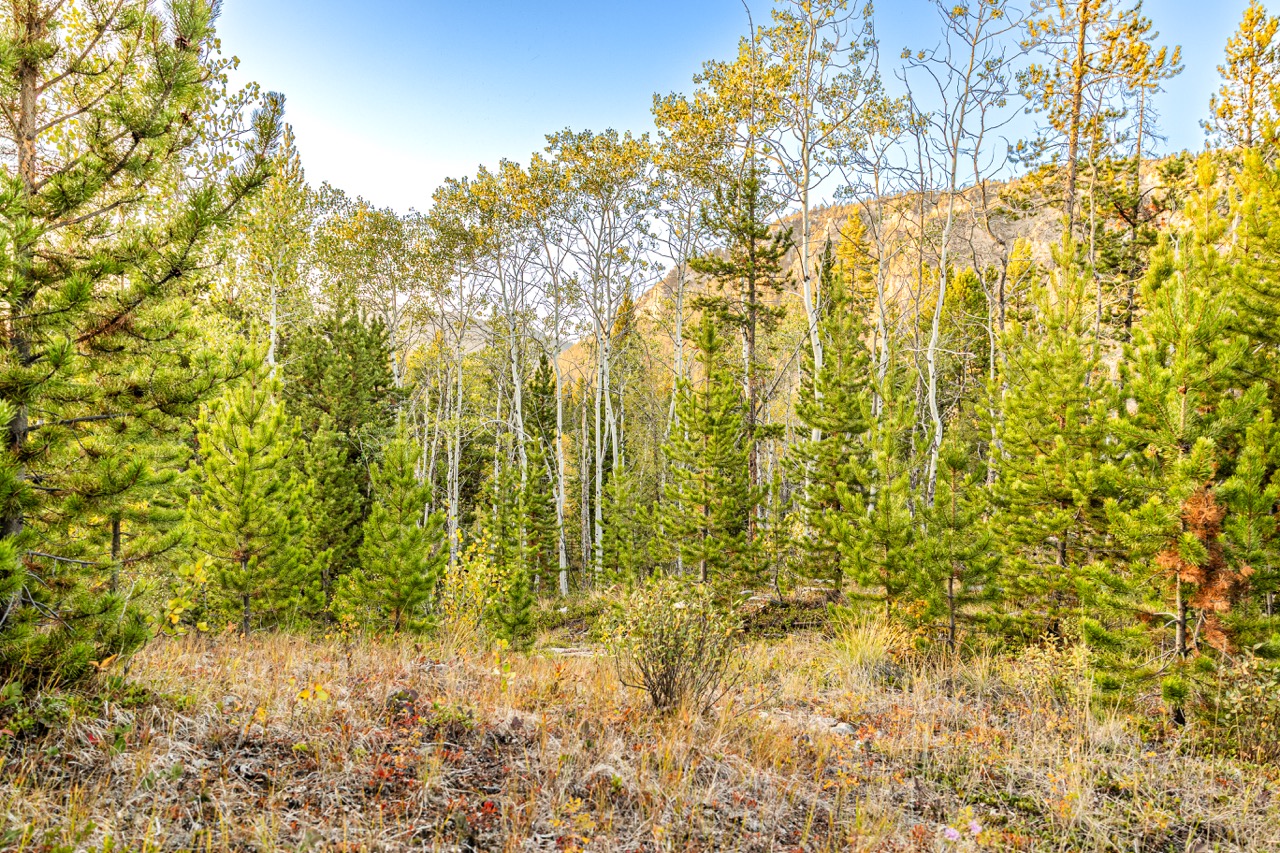Lot 1 Tbd Harris Rd Property Photo 9