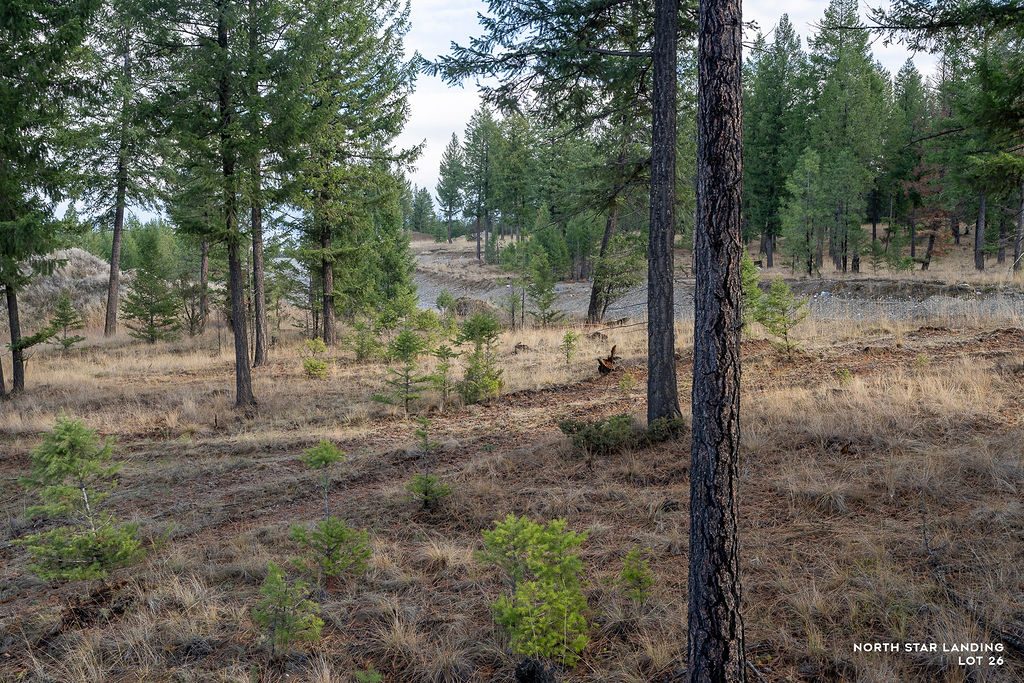 Lot 26 Origin Lane Property Photo 4