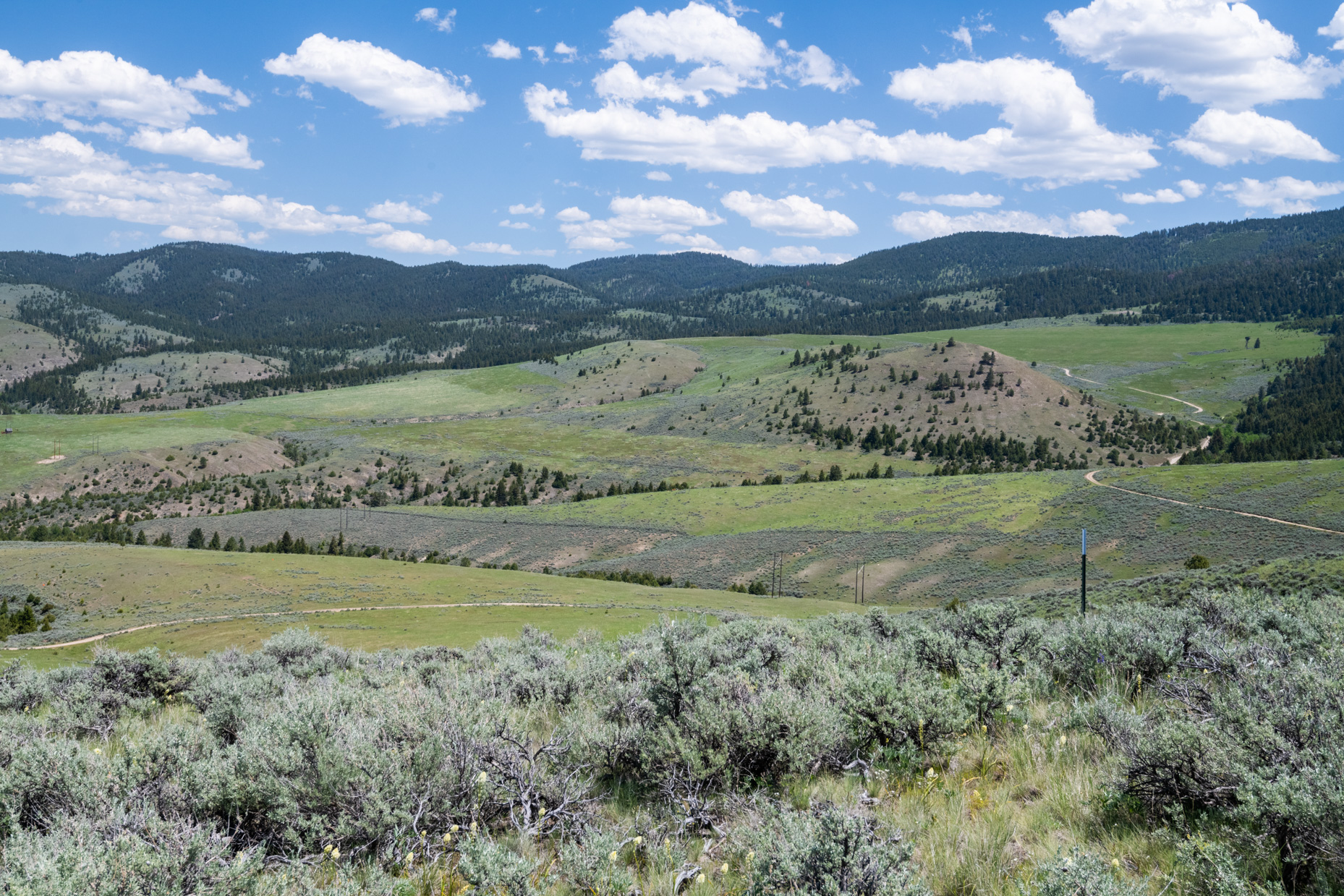 Nhn Blue Sage Trail Property Photo 2