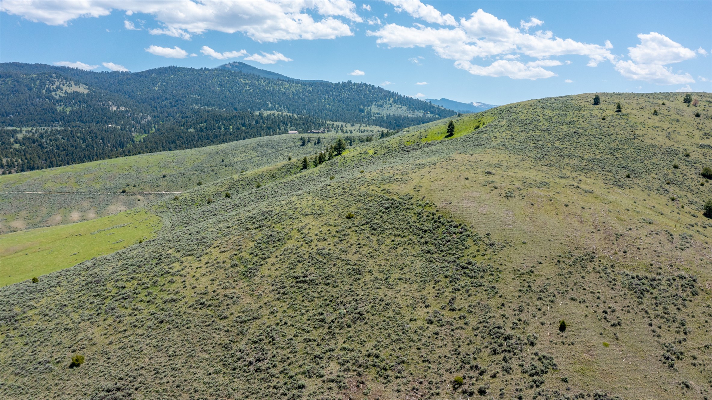 Nhn Blue Sage Trail Property Photo 10