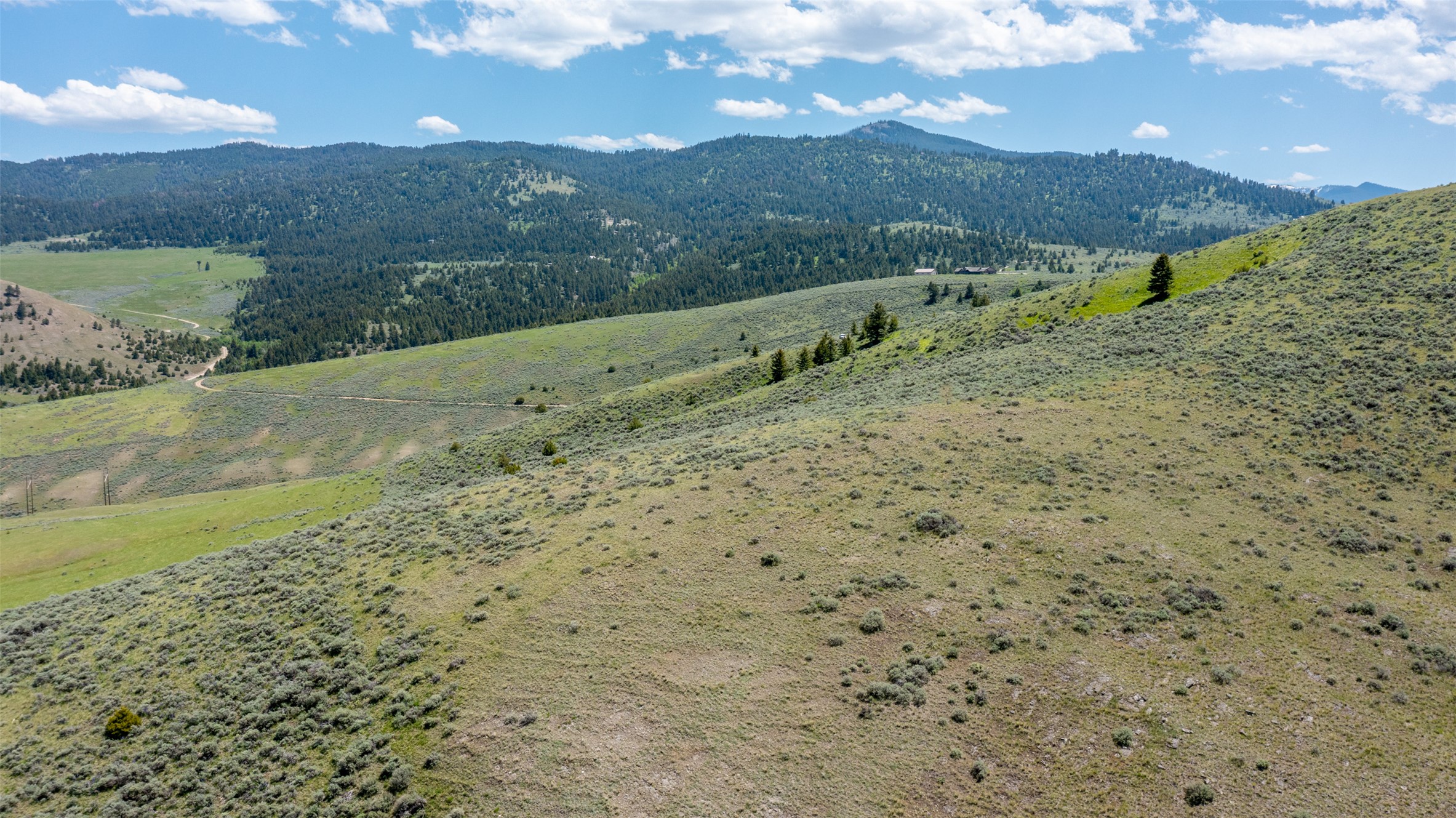 Nhn Blue Sage Trail Property Photo 11