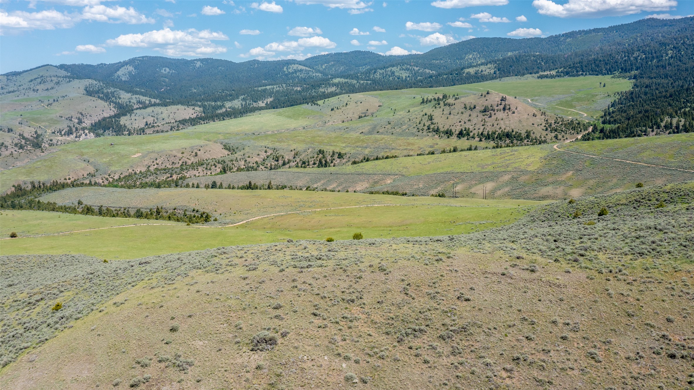 Nhn Blue Sage Trail Property Photo 12