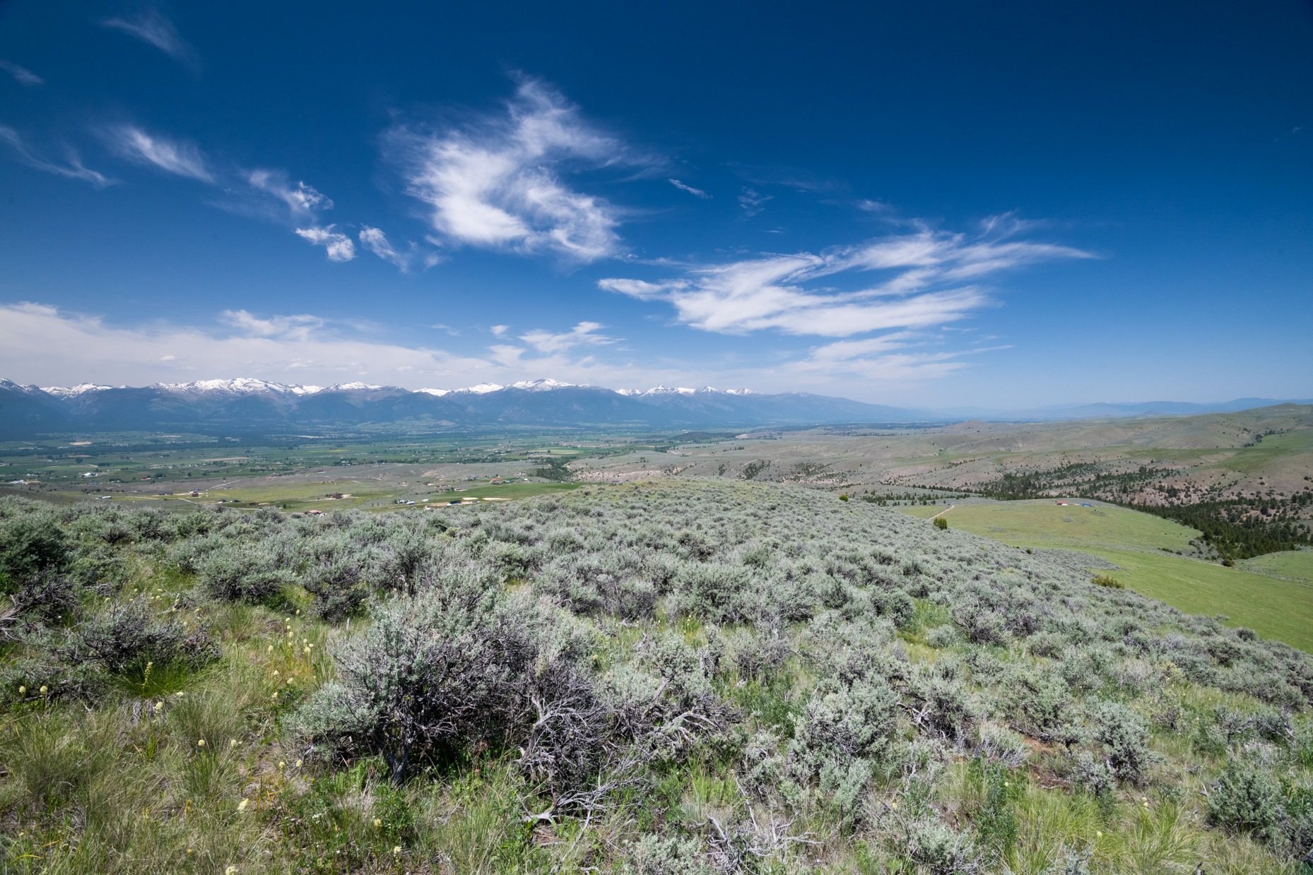 Nhn Blue Sage Trail Property Photo 16