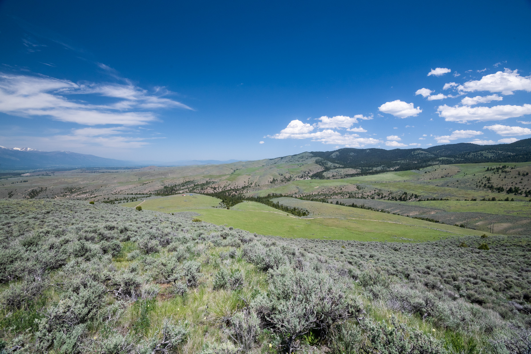Nhn Blue Sage Trail Property Photo 17