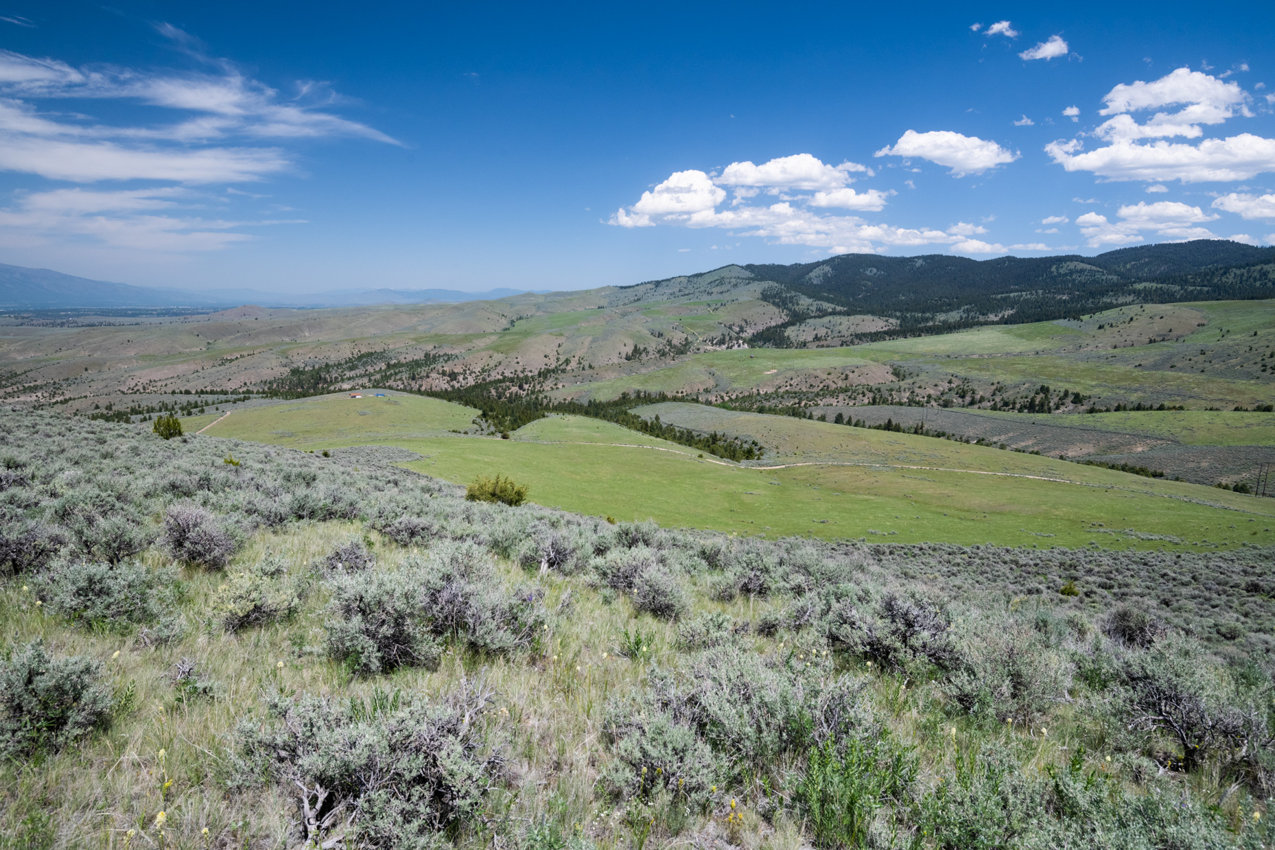 Nhn Blue Sage Trail Property Photo 19