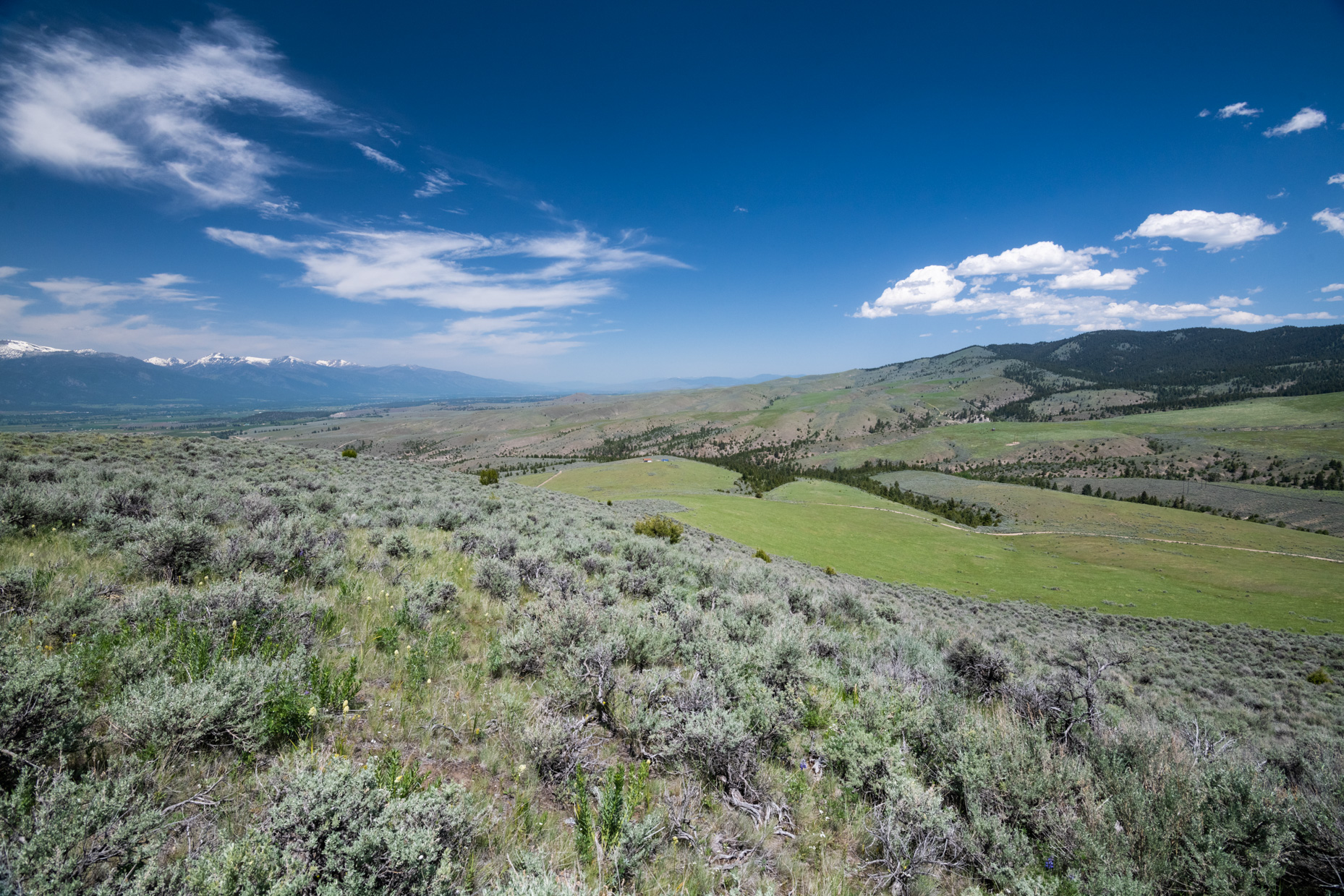 Nhn Blue Sage Trail Property Photo 20