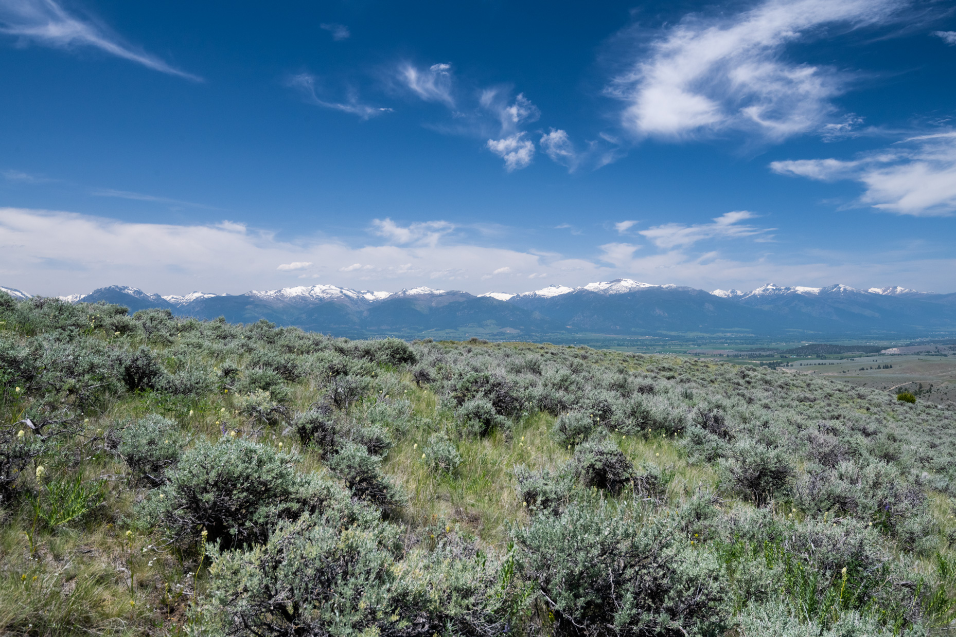 Nhn Blue Sage Trail Property Photo 21
