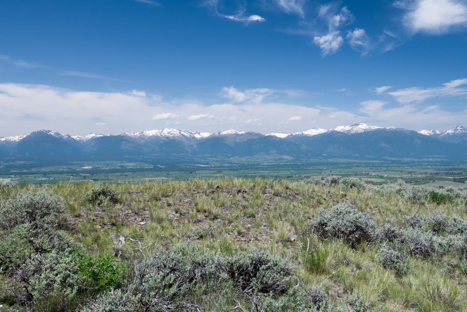 Nhn Blue Sage Trail Property Photo 22