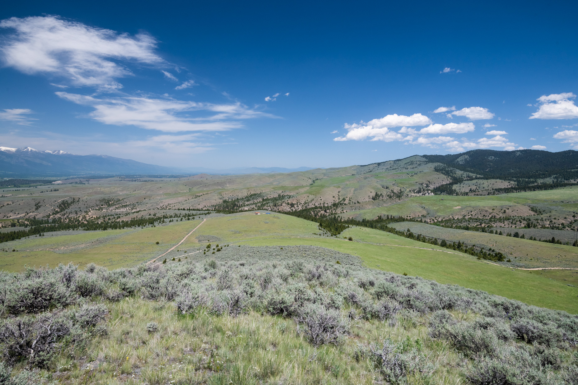 Nhn Blue Sage Trail Property Photo 24