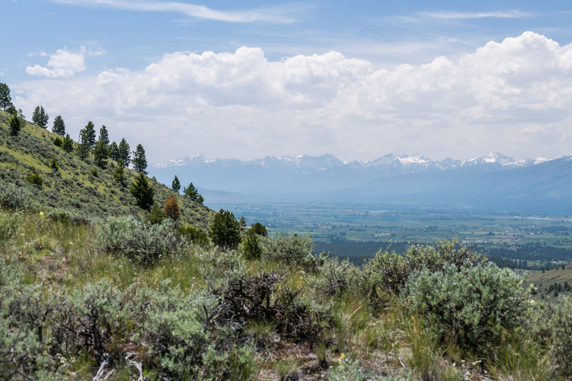 Nhn Blue Sage Trail Property Photo 27