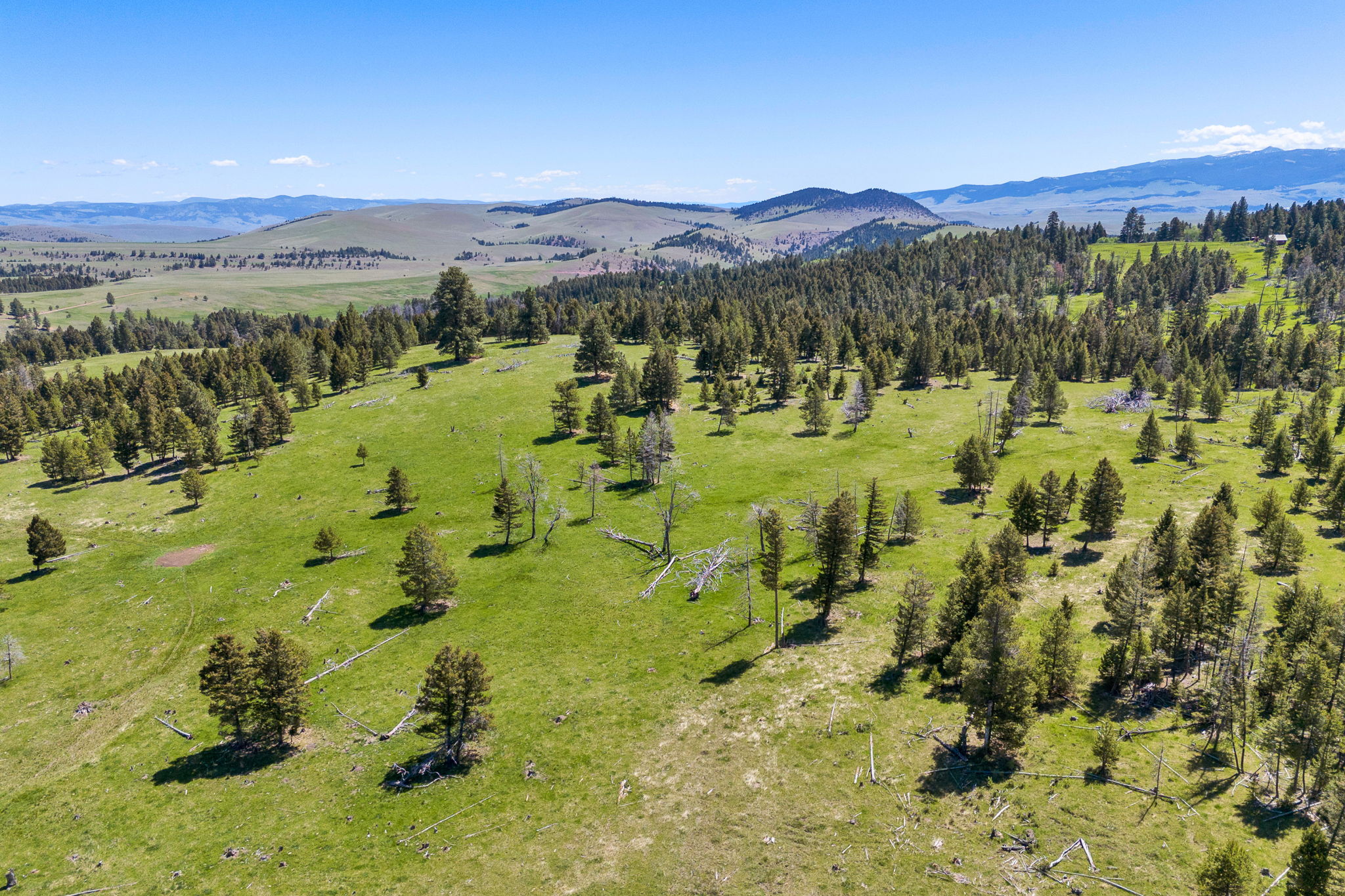 Nhn N Fork Lower Willow Creek Road Property Photo 1