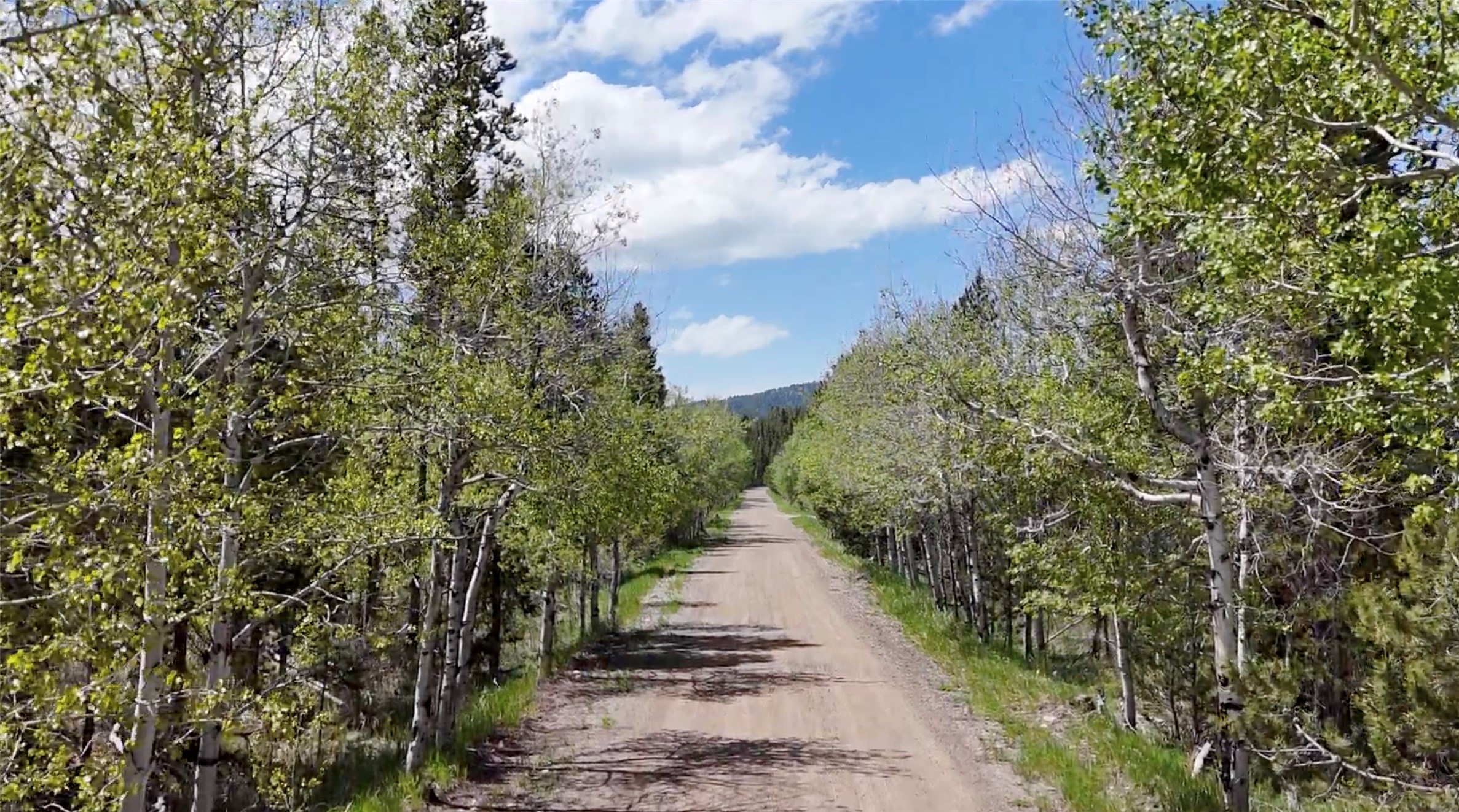 Lot 3 Tbd Harris Road Property Photo 13