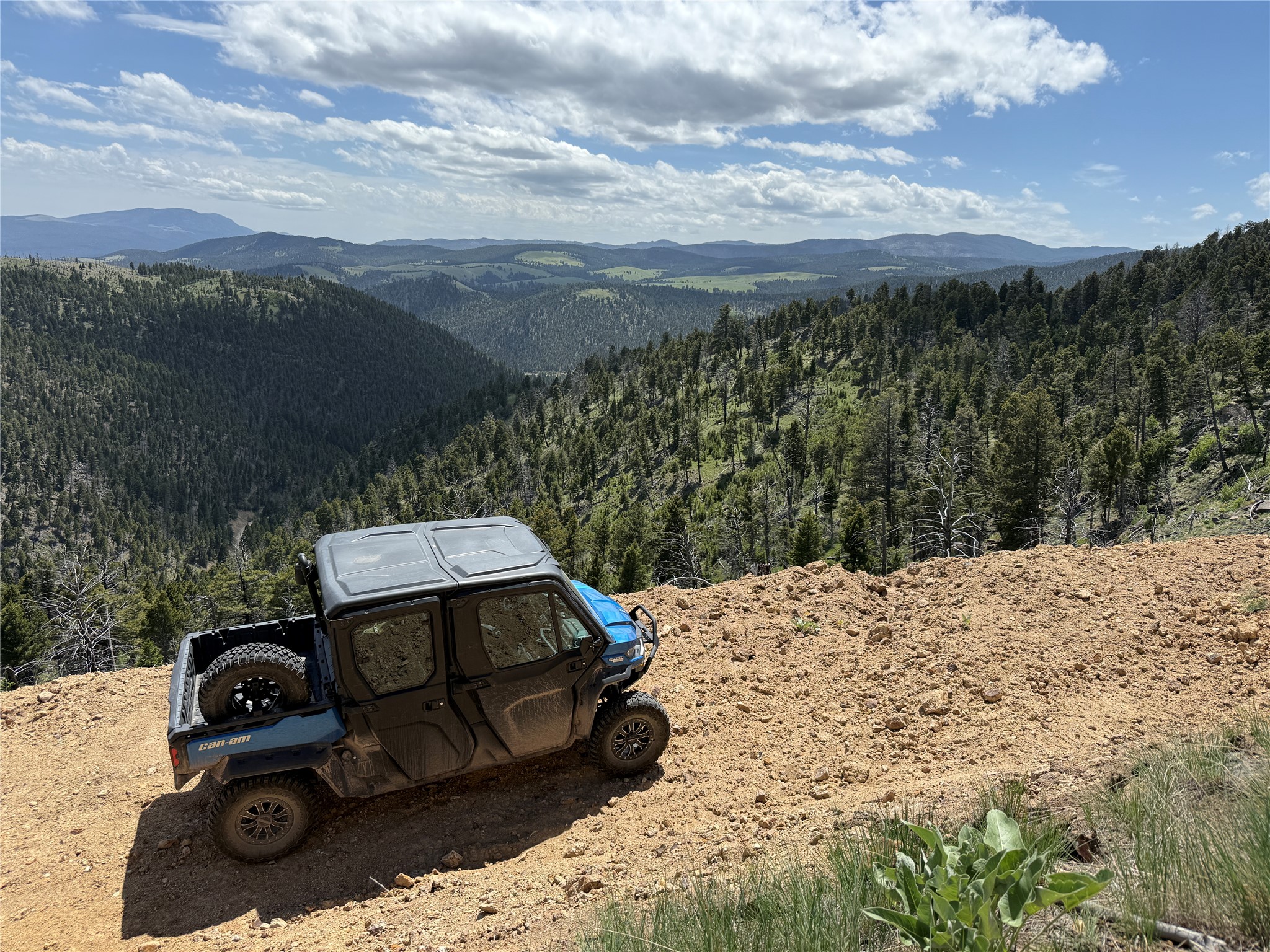 Tbd (40.1 +/- Ac) High Ore Road Property Photo 4