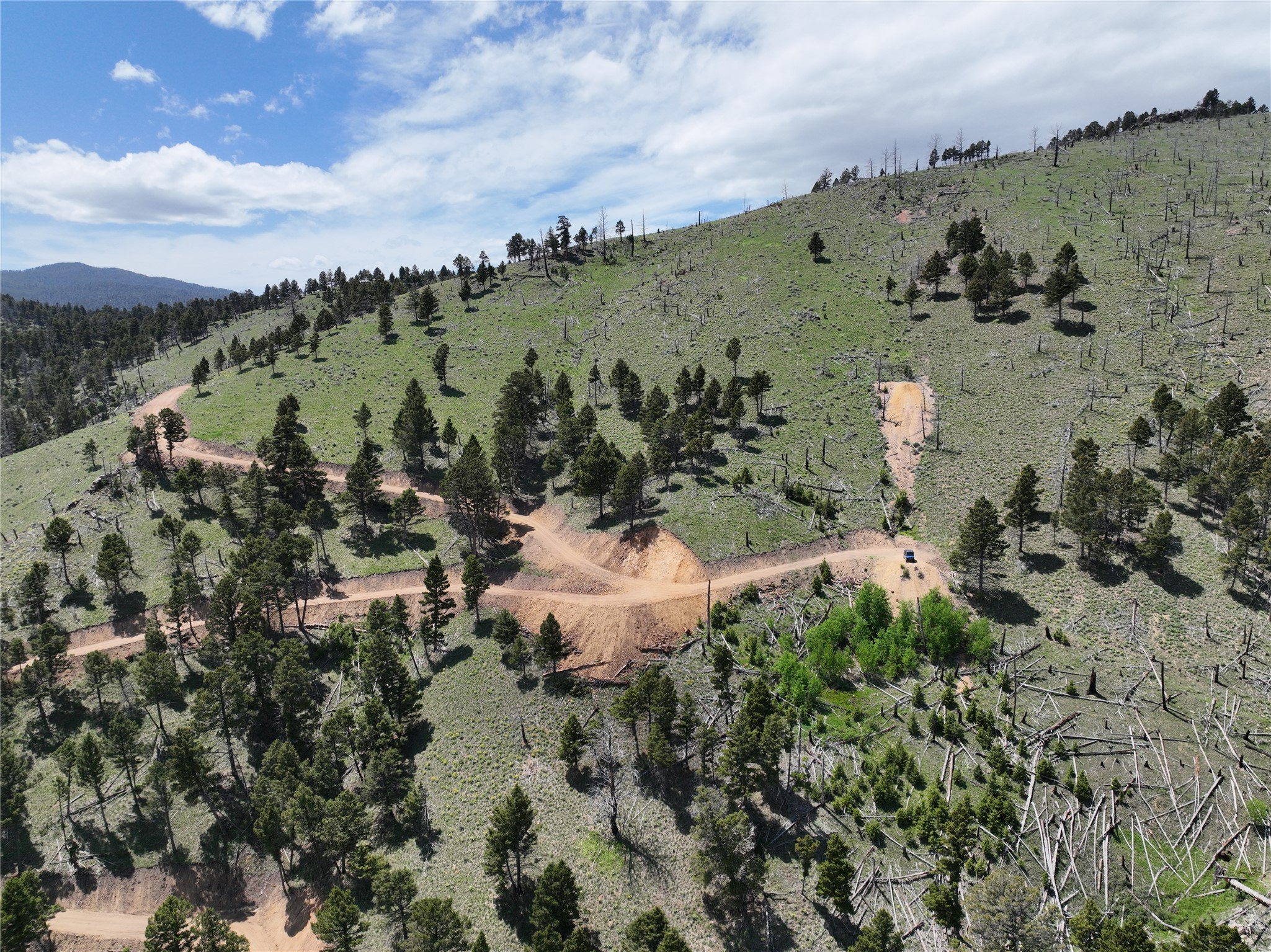 Tbd (40.1 +/- Ac) High Ore Road Property Photo 5