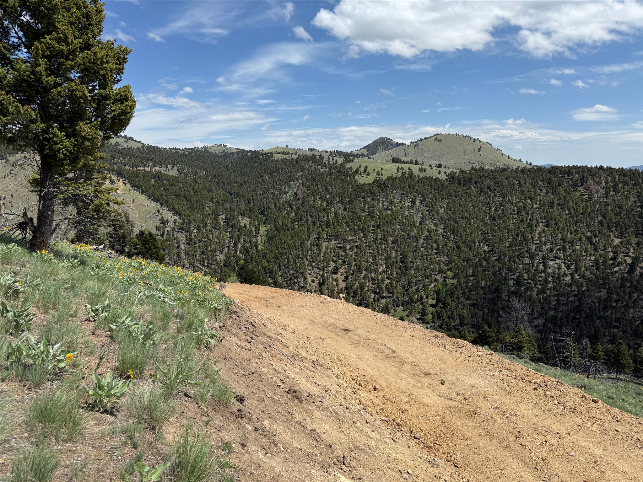 Tbd (40.1 +/- Ac) High Ore Road Property Photo 7