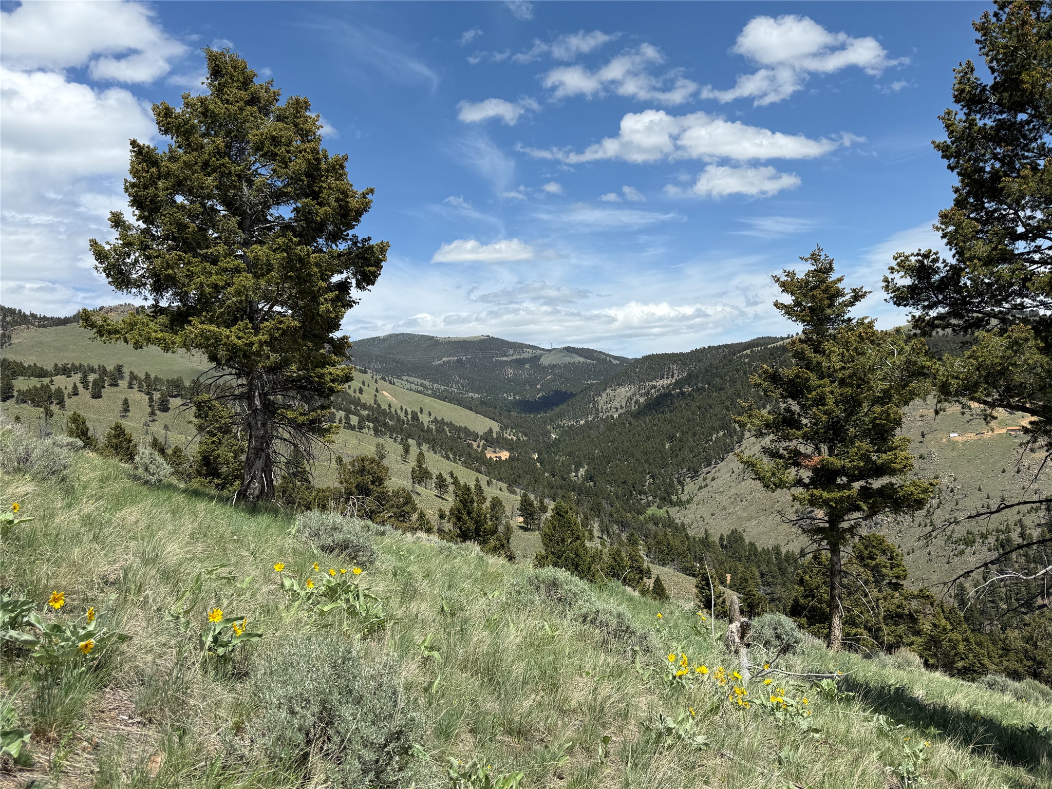 Tbd (40.1 +/- Ac) High Ore Road Property Photo 8
