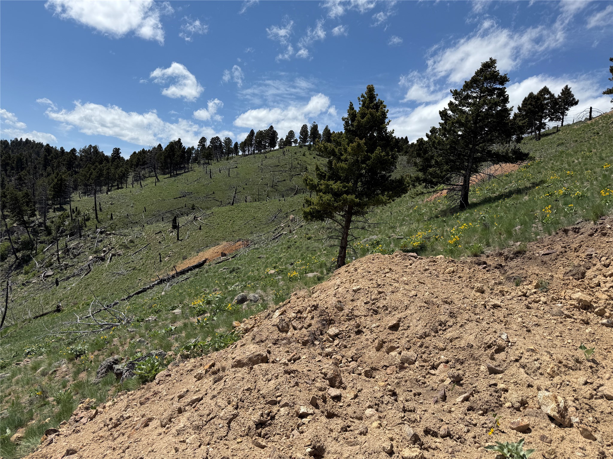 Tbd (40.1 +/- Ac) High Ore Road Property Photo 9