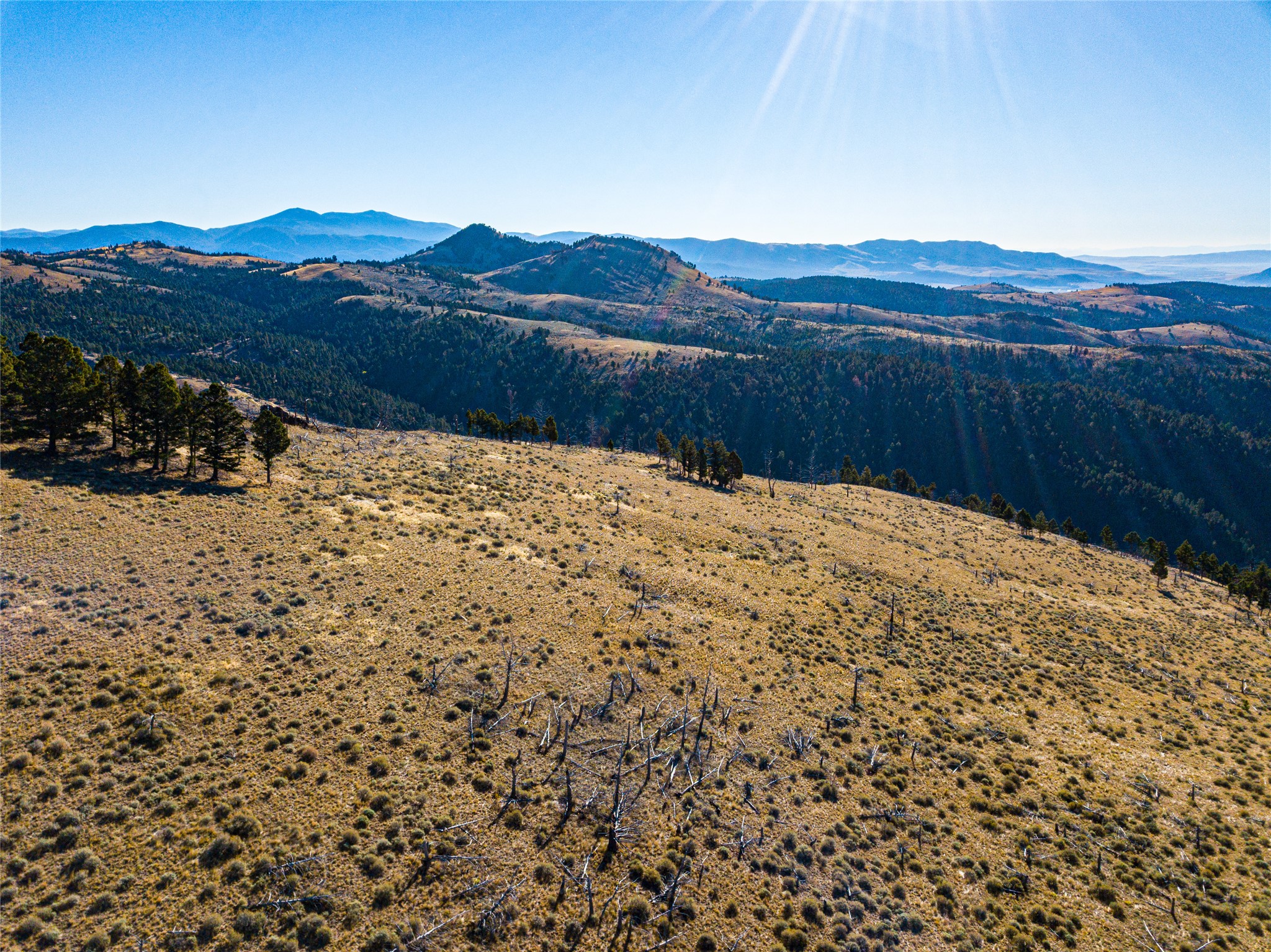 Tbd (40.1 +/- Ac) High Ore Road Property Photo 11