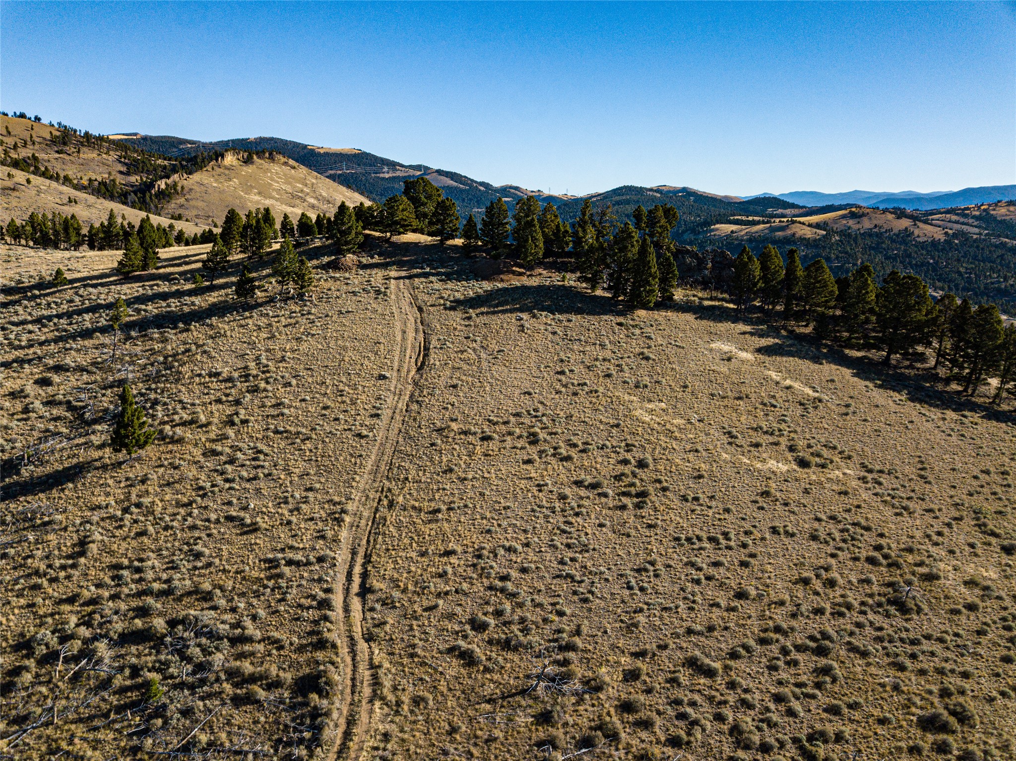 Tbd (40.1 +/- Ac) High Ore Road Property Photo 12