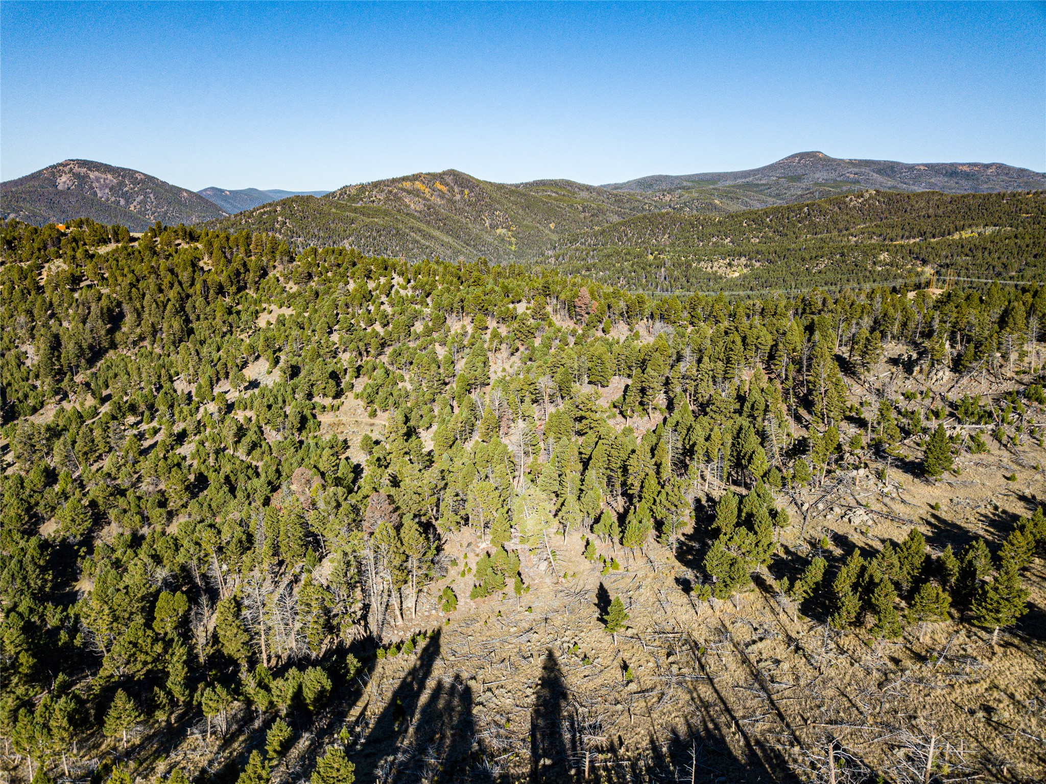 Tbd (40.1 +/- Ac) High Ore Road Property Photo 14