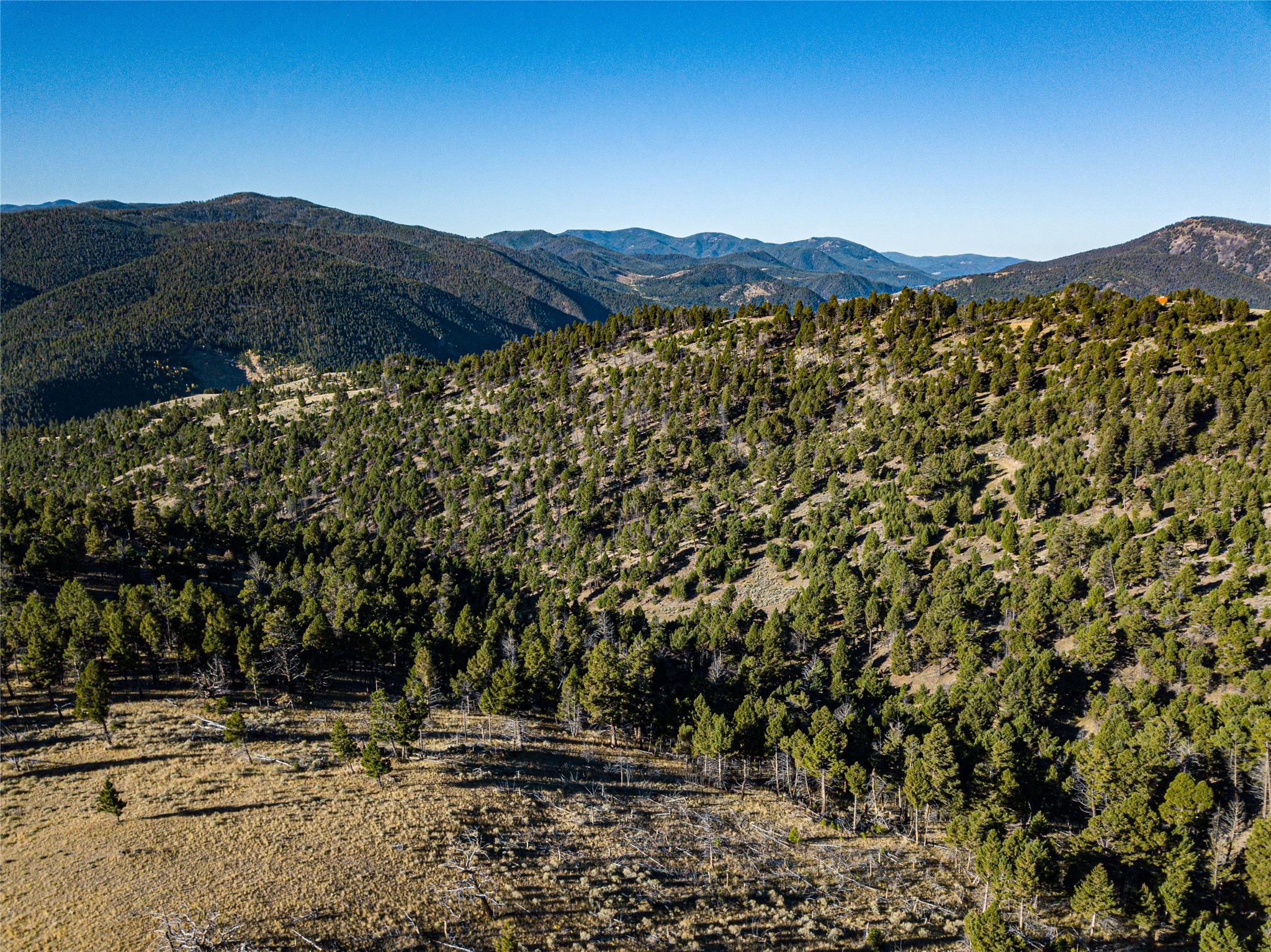 Tbd (40.1 +/- Ac) High Ore Road Property Photo 15