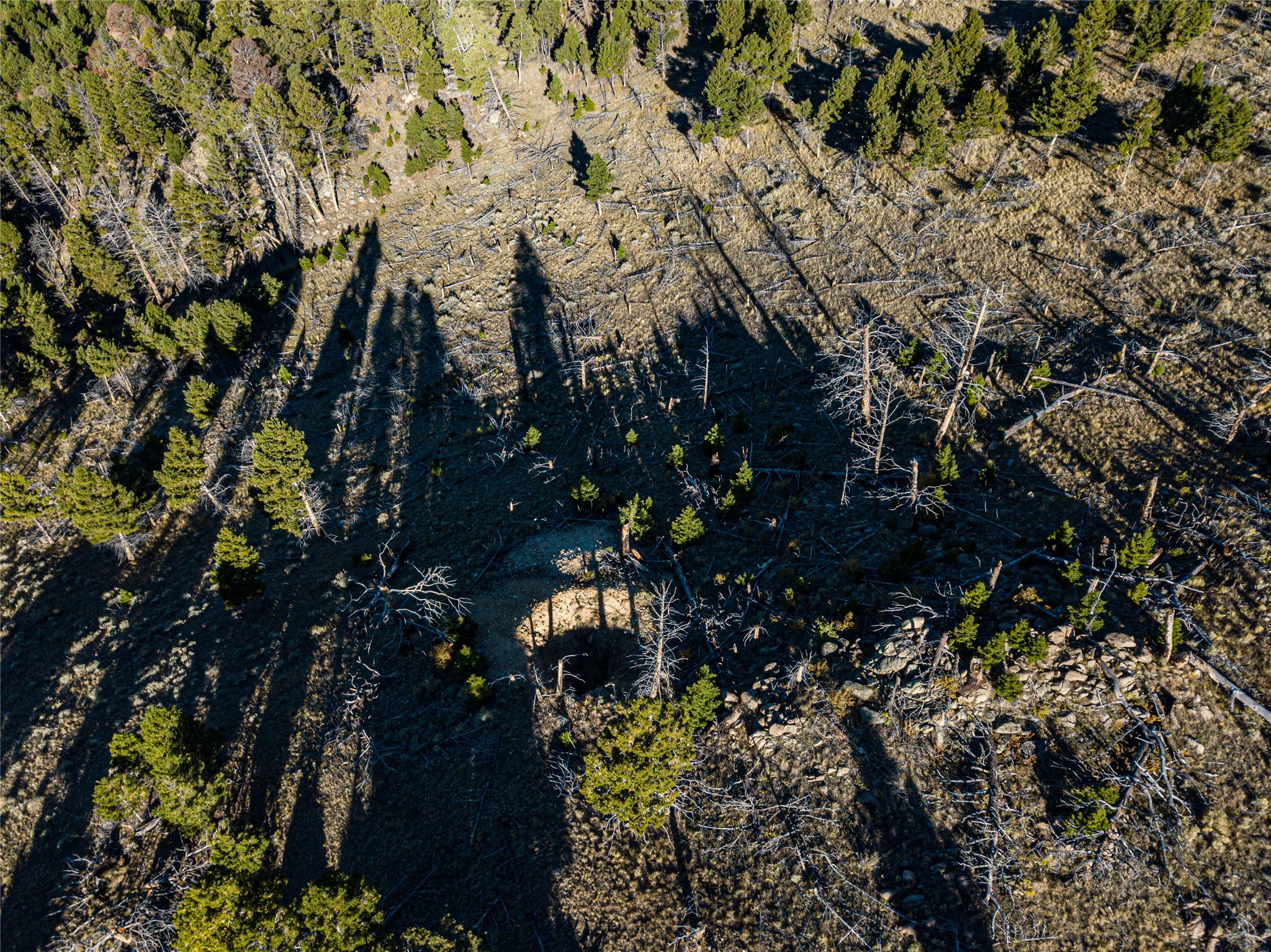 Tbd (40.1 +/- Ac) High Ore Road Property Photo 16