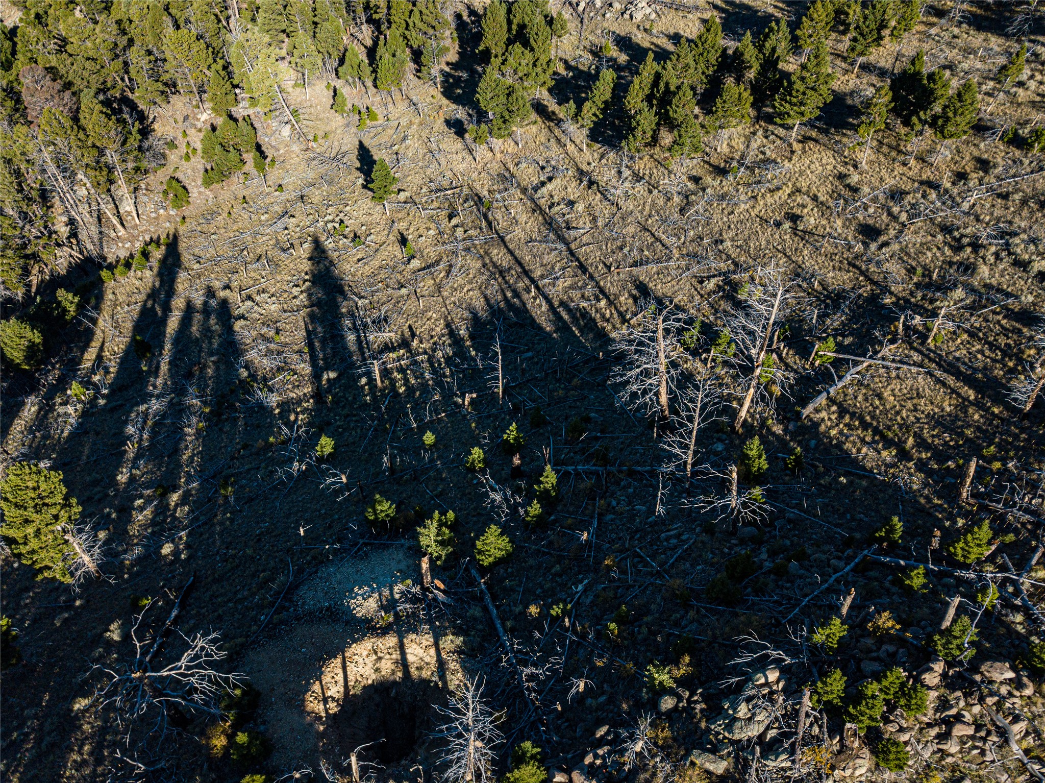 Tbd (40.1 +/- Ac) High Ore Road Property Photo 17