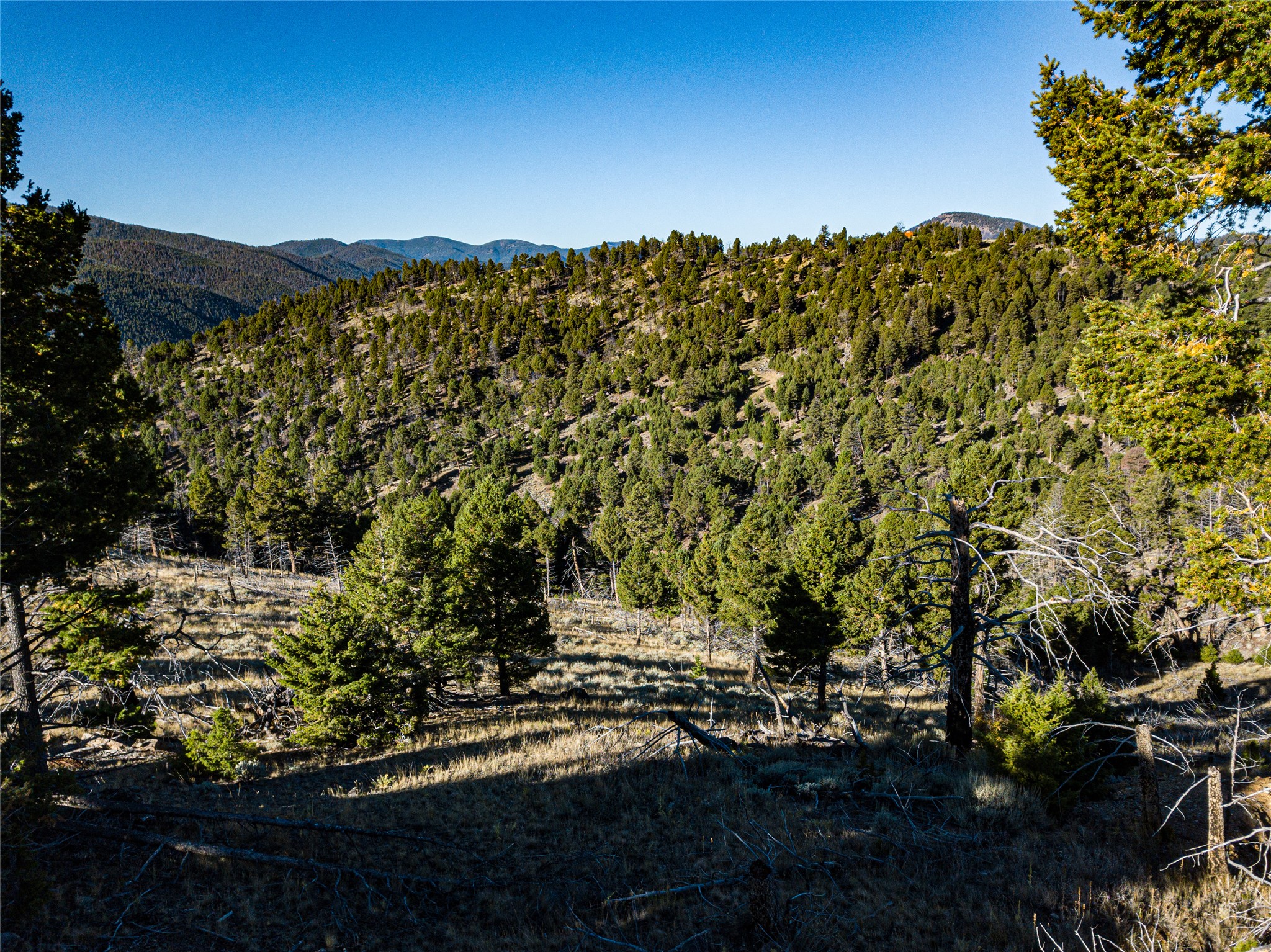 Tbd (40.1 +/- Ac) High Ore Road Property Photo 18