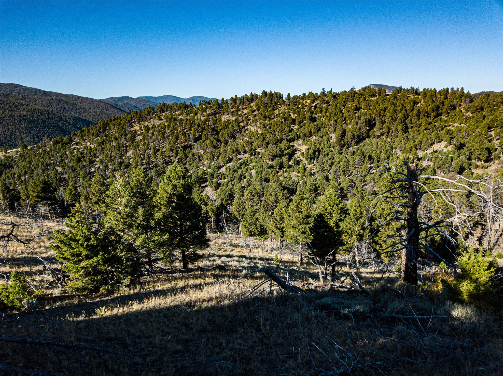 Tbd (40.1 +/- Ac) High Ore Road Property Photo 19