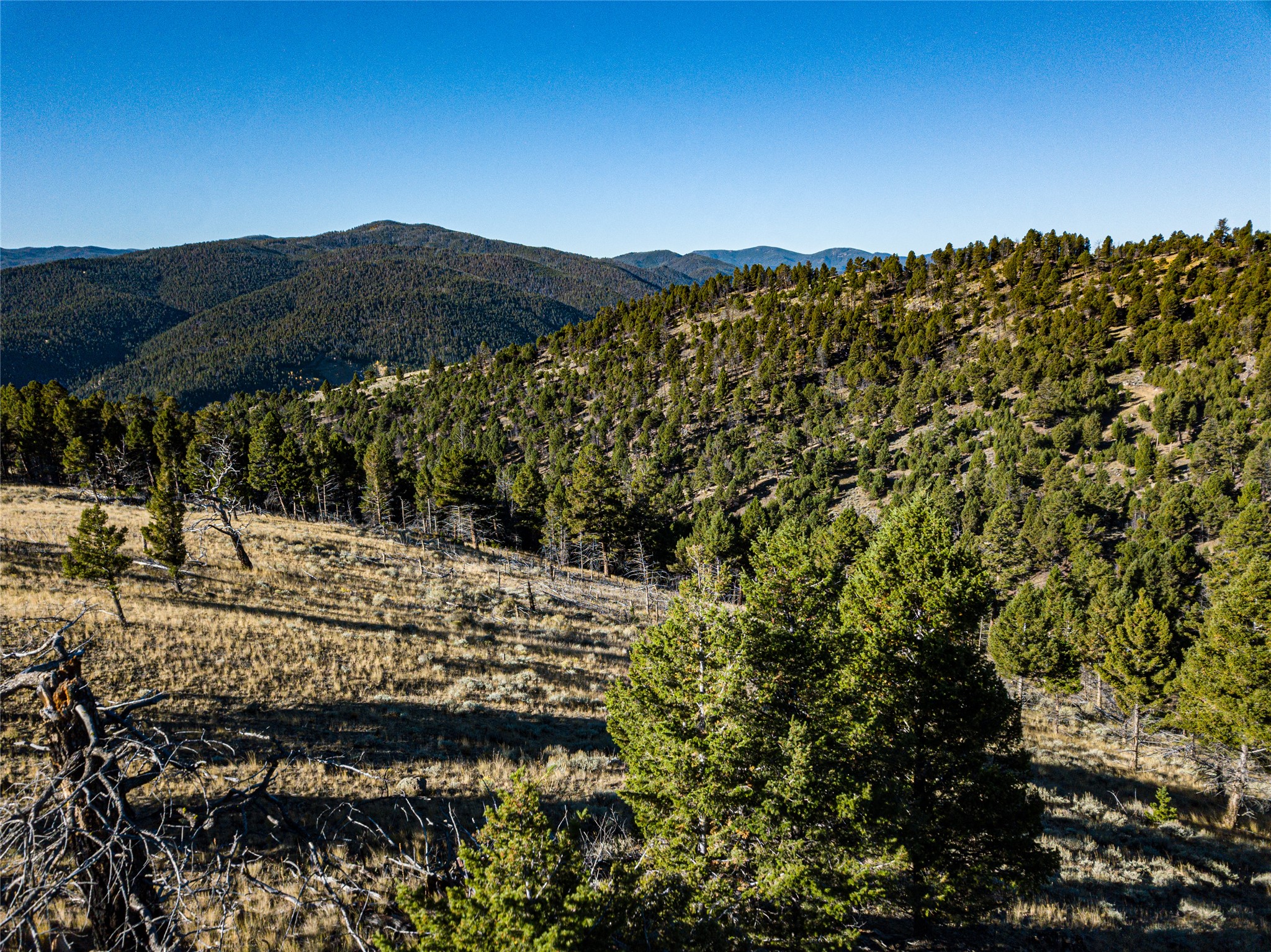 Tbd (40.1 +/- Ac) High Ore Road Property Photo 21